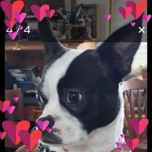 Meet your Posher, Joyce